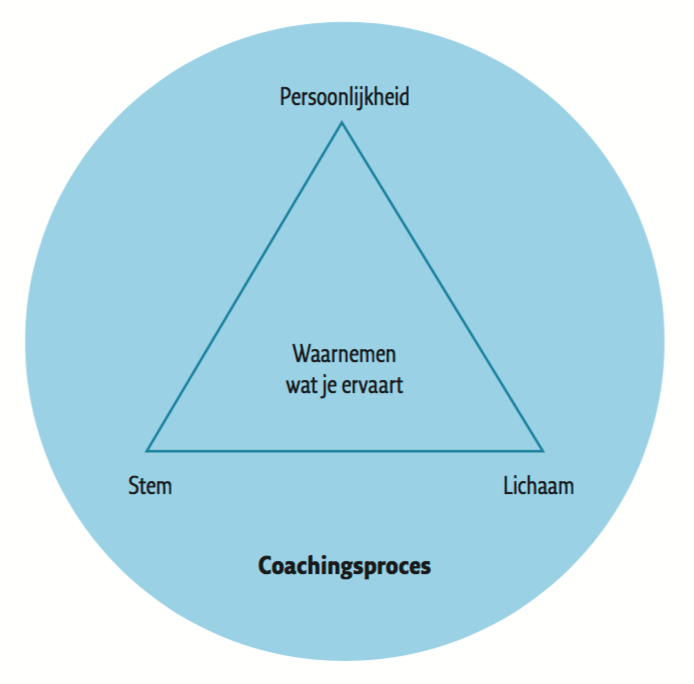 Model voor stemcoaching uit het Groot Coachingsmodellenboek